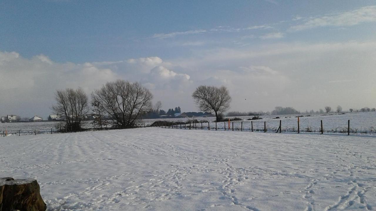 B & B Victors Hof, Met Zwemvijver In Landelijke Setting Lievegem Esterno foto