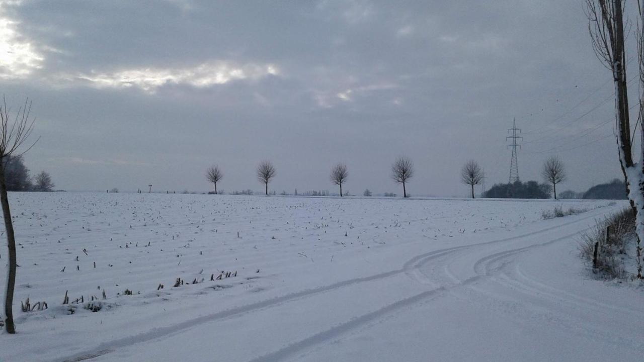 B & B Victors Hof, Met Zwemvijver In Landelijke Setting Lievegem Esterno foto