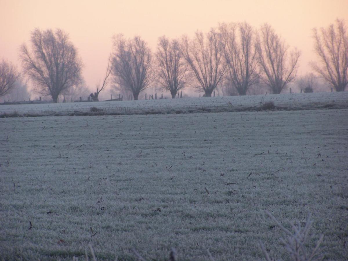 B & B Victors Hof, Met Zwemvijver In Landelijke Setting Lievegem Esterno foto