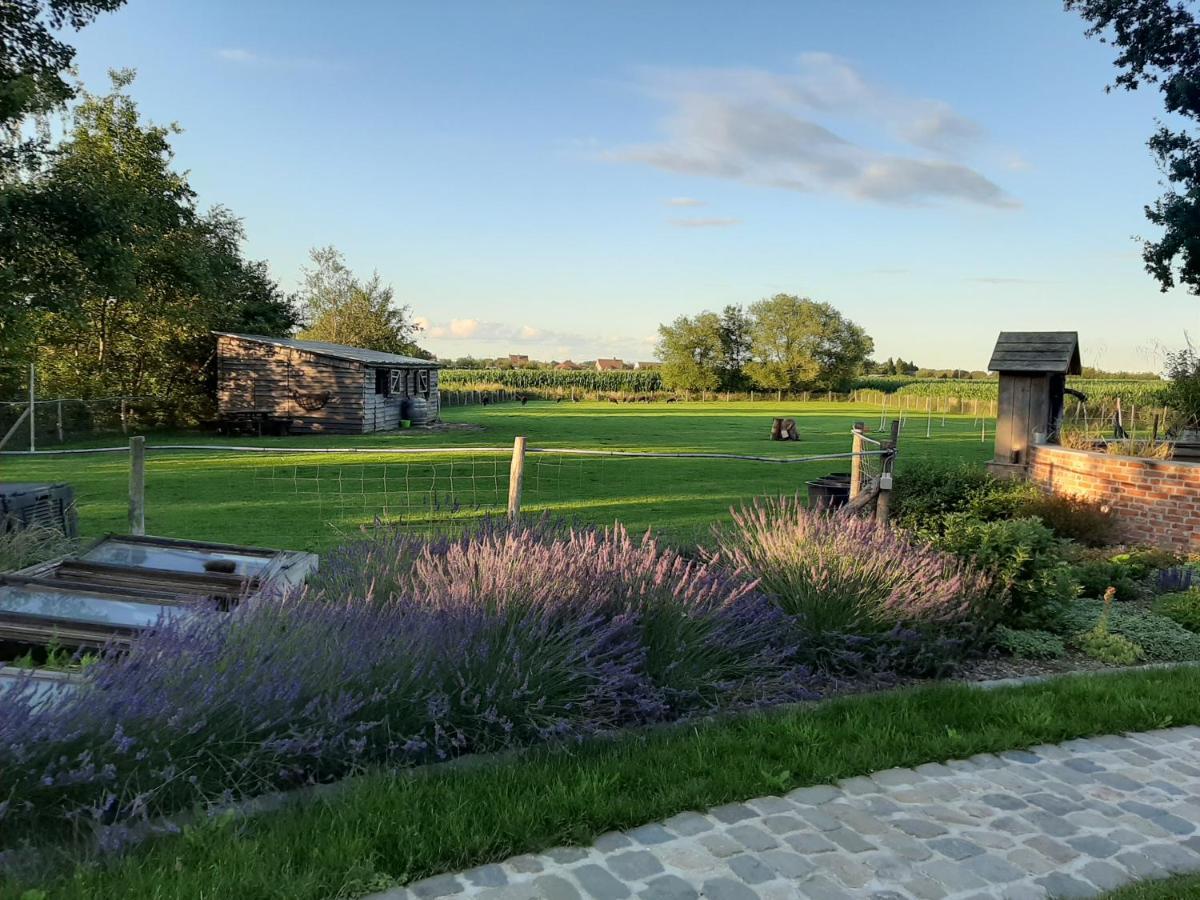 B & B Victors Hof, Met Zwemvijver In Landelijke Setting Lievegem Esterno foto