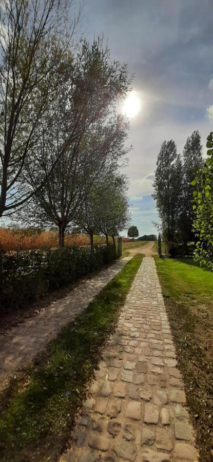 B & B Victors Hof, Met Zwemvijver In Landelijke Setting Lievegem Esterno foto