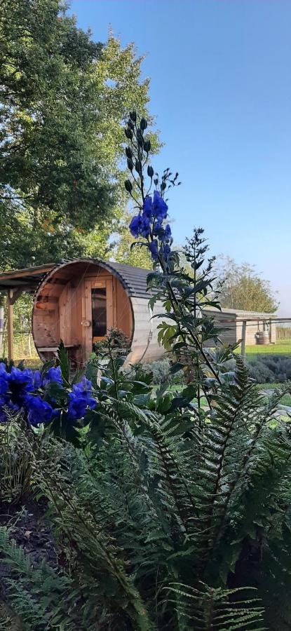 B & B Victors Hof, Met Zwemvijver In Landelijke Setting Lievegem Esterno foto