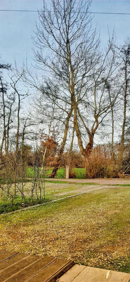B & B Victors Hof, Met Zwemvijver In Landelijke Setting Lievegem Esterno foto